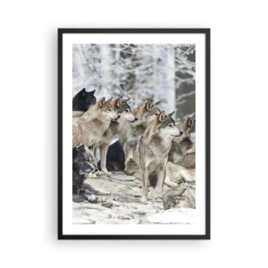 Affiche dans un cadre noir - Poster - Un groupe de loups dans la forêt d'hiver - 50x70cm - Famille et amis - Décoration murale moderne pour le salon et la chambre ARTTOR
