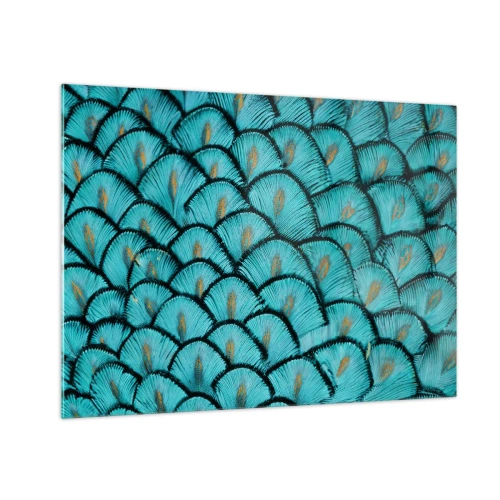 Impression sur verre - Image sur verre - Gros plan de plumes de paon turquoise formant un motif décoratif. - 70x50cm - Le grand gala des plumes - Décoration murale moderne pour le salon et la chambre ARTTOR