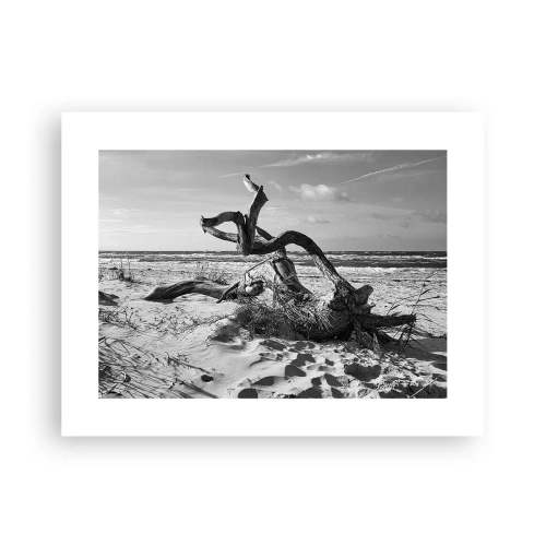 Affiche - Poster - Sculpture marine - 40x30 cm