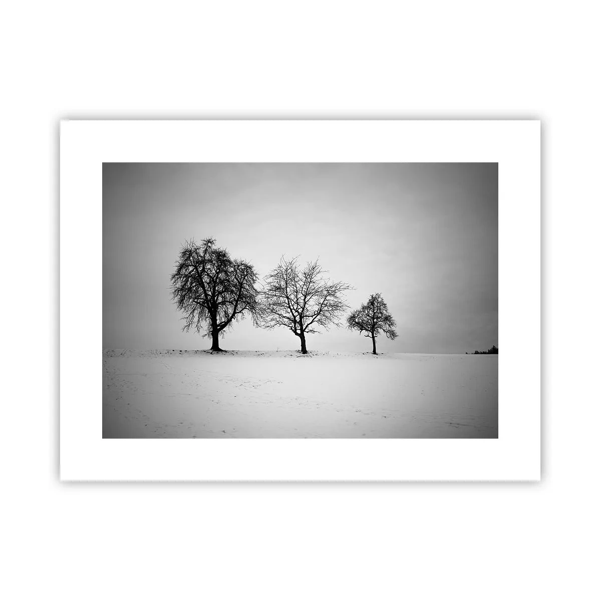 Affiche - Poster - A quoi rêvent-ils? - 40x30 cm