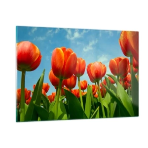 Impression sur verre - Image sur verre - Un champ de tulipes rouges sous un ciel bleu - 120x80cm - A part le ciel bleu, ils n'ont besoin de rien dans leur vie - Décoration murale moderne pour le salon et la chambre ARTTOR