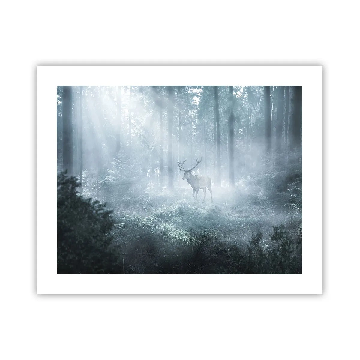 Affiche - Poster - Visite matinale du domaine - 50x40 cm