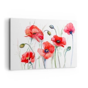 Impression sur toile - Image sur toile - Coquelicots à l'aquarelle sur un fond délicat - 120x80cm - Fleurs polonaises - Décoration murale moderne pour le salon et la chambre ARTTOR
