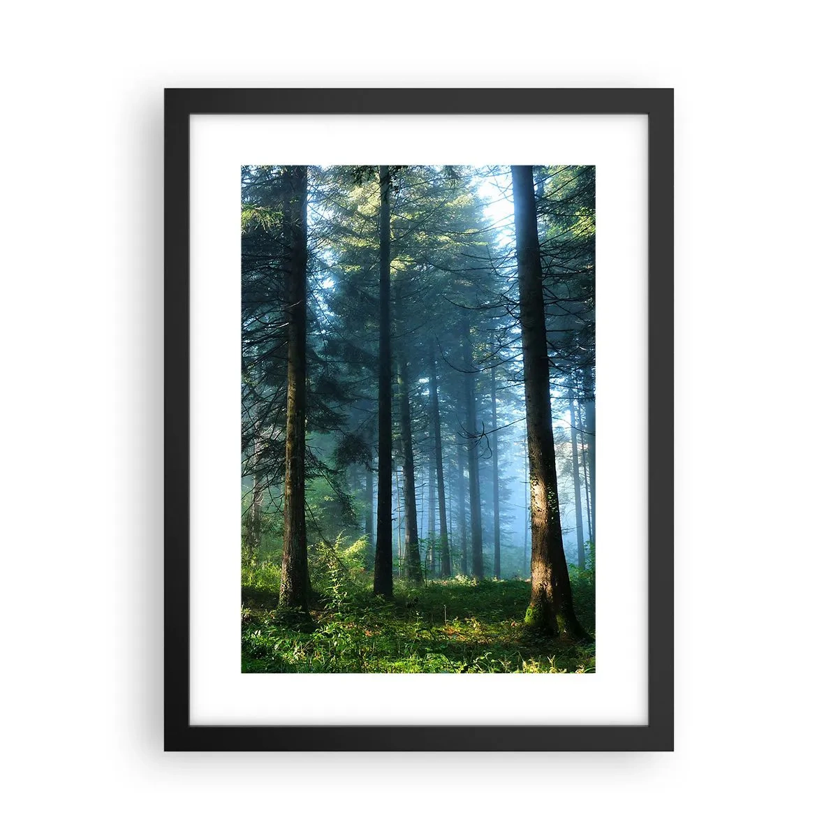 Affiche dans un cadre noir - Poster - Rayonnant le matin - 30x40 cm