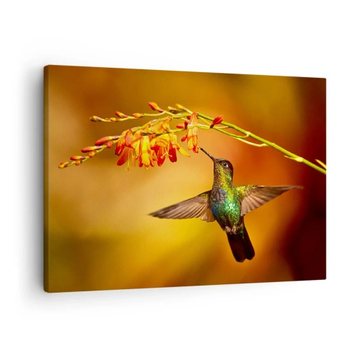 Impression sur toile - Image sur toile - Colibri près d'une fleur dans la lumière chaude - 70x50cm - Un messager de lumière selon les Mayas - Décoration murale moderne pour le salon et la chambre ARTTOR