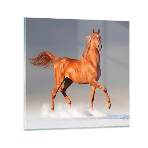 Impression sur verre - Image sur verre - La grâce dansante - 30x30 cm