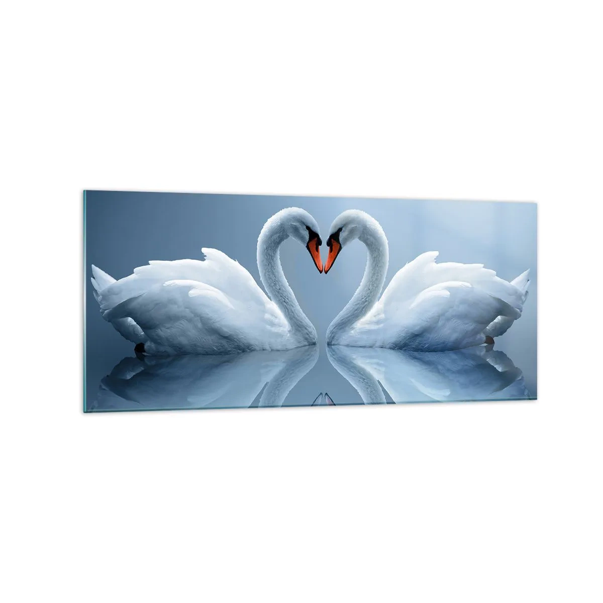 Impression sur verre - Image sur verre - Deux cygnes formant un cœur sur une surface d'eau calme - 120x50cm - Le temps de l'amour - Décoration murale moderne pour le salon et la chambre ARTTOR