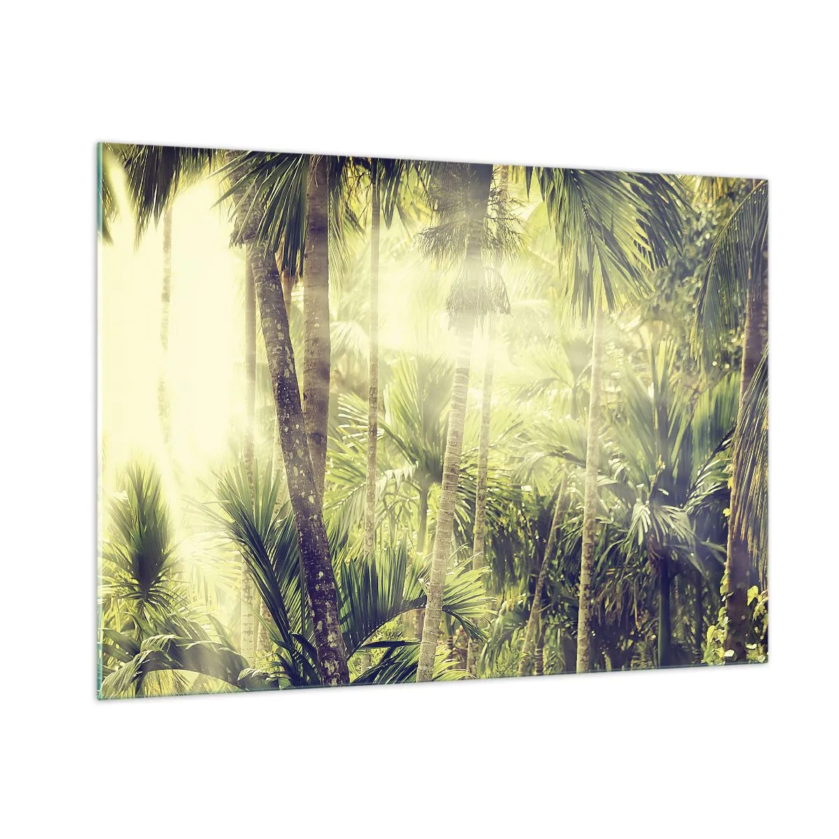 Impression sur verre - Image sur verre - Jungle tropicale verte au soleil - 100x70cm - Nature enflammée - Décoration murale moderne pour le salon et la chambre ARTTOR