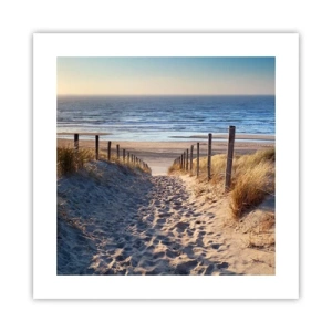 Affiche - Poster - Le bruit de la mer, le chant des oiseaux, une plage sauvage parmi les herbes… - 40x40 cm