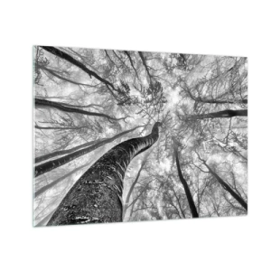 Impression sur verre - Image sur verre - Arbres en noir et blanc photographiés d'en bas vers le ciel - 70x50cm - Course vers la lumière - Décoration murale moderne pour le salon et la chambre ARTTOR