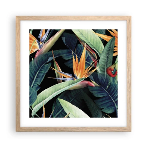Affiche dans un chêne clair - Poster - Fleurs flamboyantes des tropiques - 40x40 cm