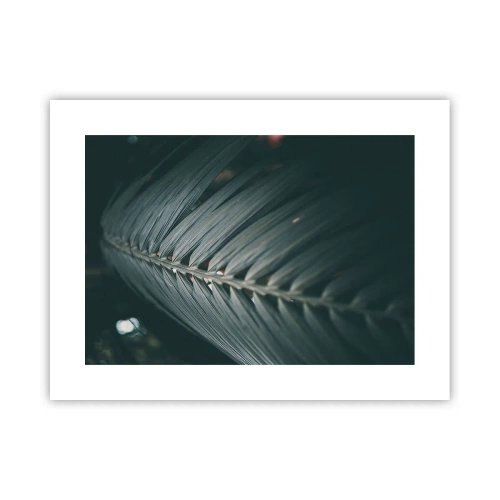 Affiche - Poster - Précision de la nature - 40x30 cm