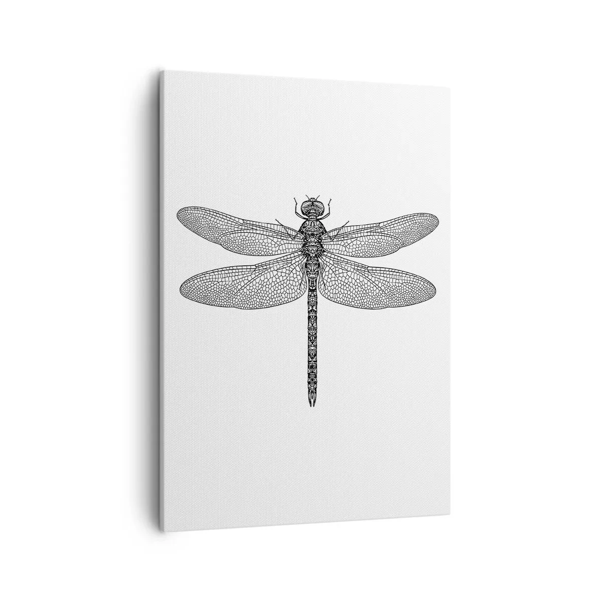 Impression sur toile - Image sur toile - Dessin noir et blanc d'une libellule sur fond blanc dans un style minimaliste - 50x70cm - Précision de la nature - Décoration murale moderne pour le salon et la chambre ARTTOR