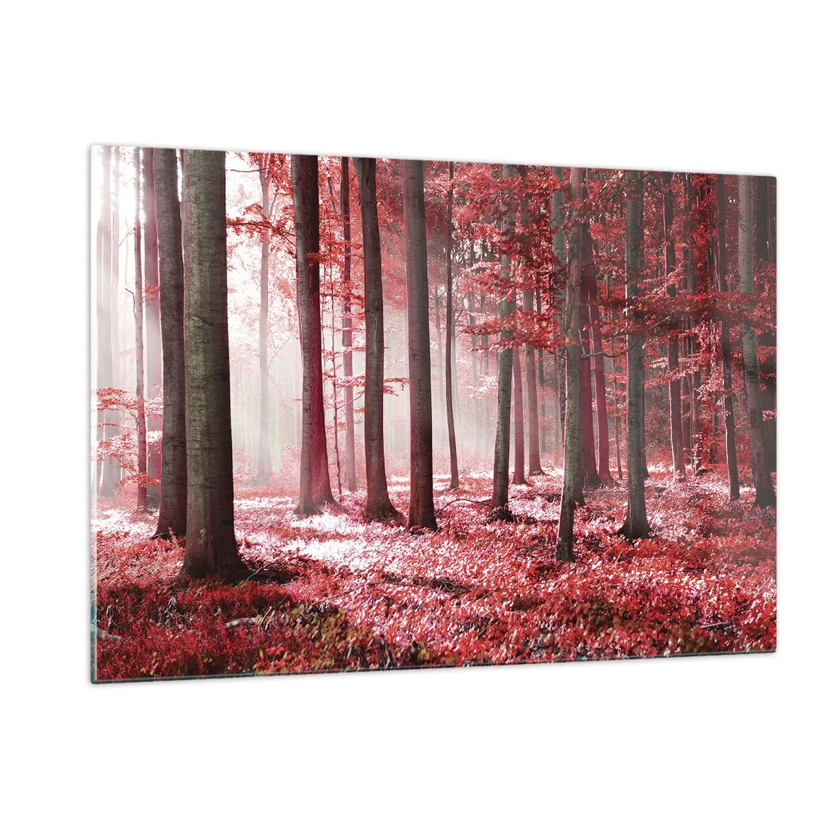 Impression sur verre - Image sur verre - Forêt d'automne aux couleurs rouges et brouillard matinal - 120x80cm - Le rouge est tout aussi beau - Décoration murale moderne pour le salon et la chambre ARTTOR