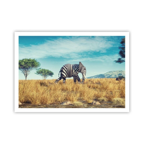 Affiche - Poster - Zèbre dans un paysage africain - 100x70cm - Le gris n'est déjà plus à la mode - Décoration murale moderne pour le salon et la chambre ARTTOR