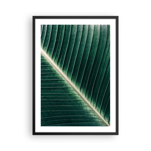 Affiche dans un cadre noir - Poster - Détail d'une feuille verte avec des nervures visibles - 50x70cm - Le rythme de la nature - Décoration murale moderne pour le salon et la chambre ARTTOR