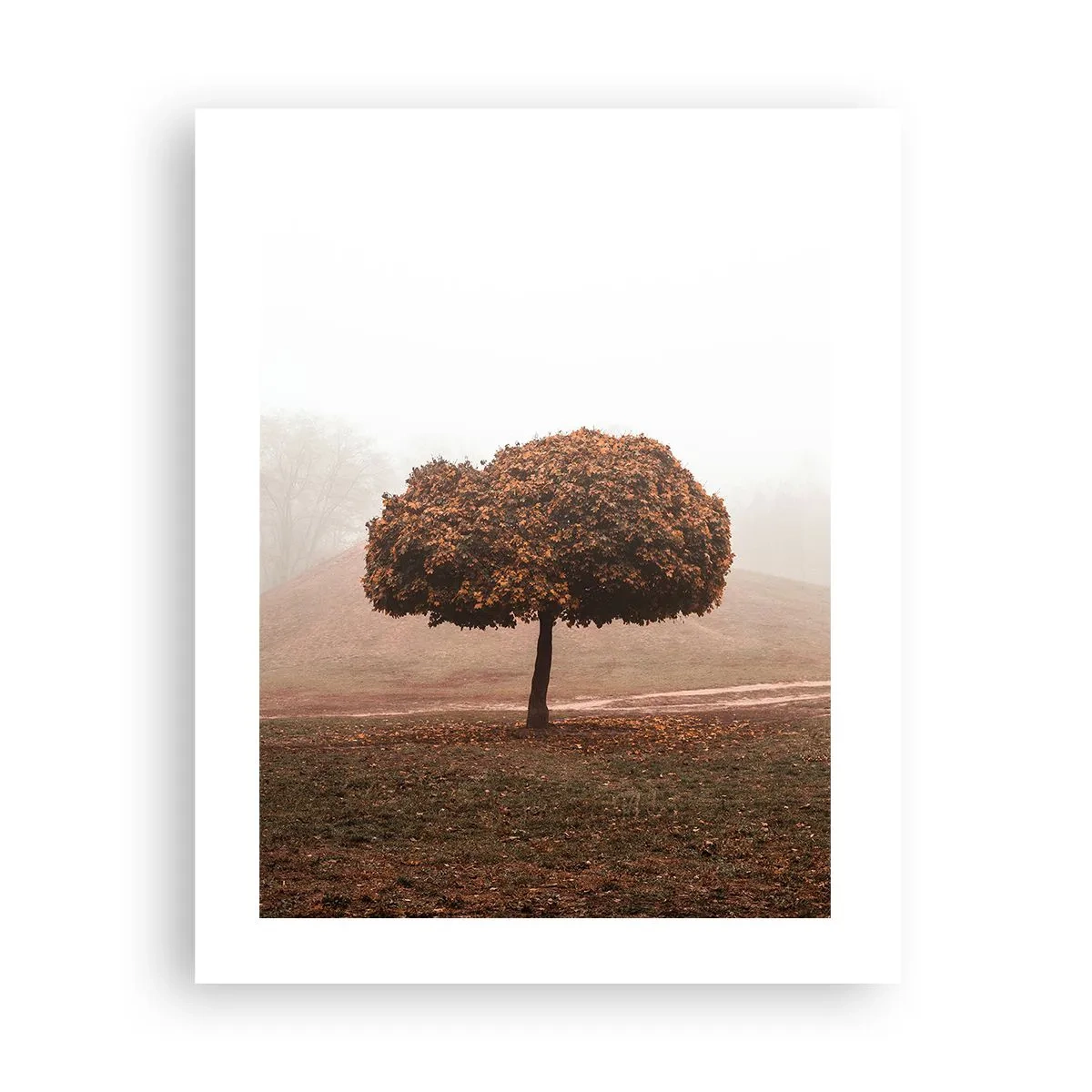 Affiche - Poster - Après un été chargé - 40x50 cm