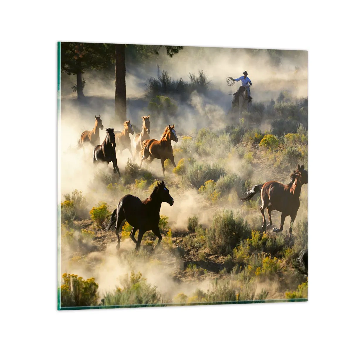 Impression sur verre - Image sur verre - Rivalité - liberté ou force masculine ? - 60x60 cm