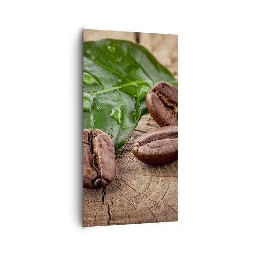 Impression sur toile - Image sur toile - La plus vraie et noire - 65x120 cm