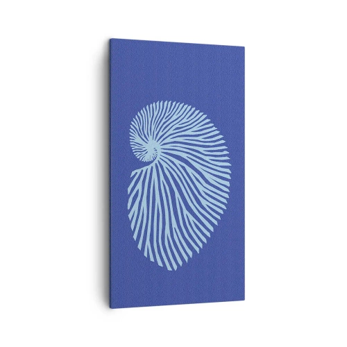 Impression sur toile - Image sur toile - La naissance de la coquille - 45x80 cm