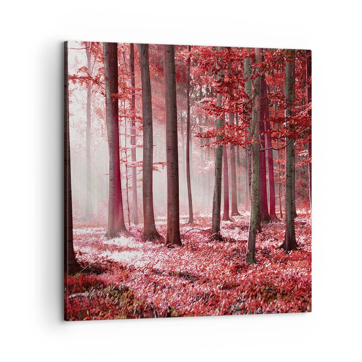 Impression sur toile - Image sur toile - Le rouge est tout aussi beau - 50x50 cm