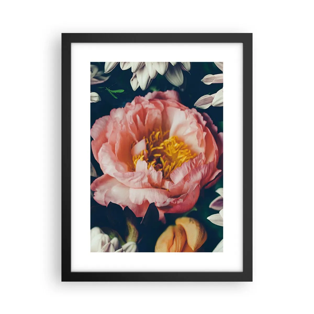 Affiche dans un cadre noir - Poster - Splendeur baroque - 30x40 cm