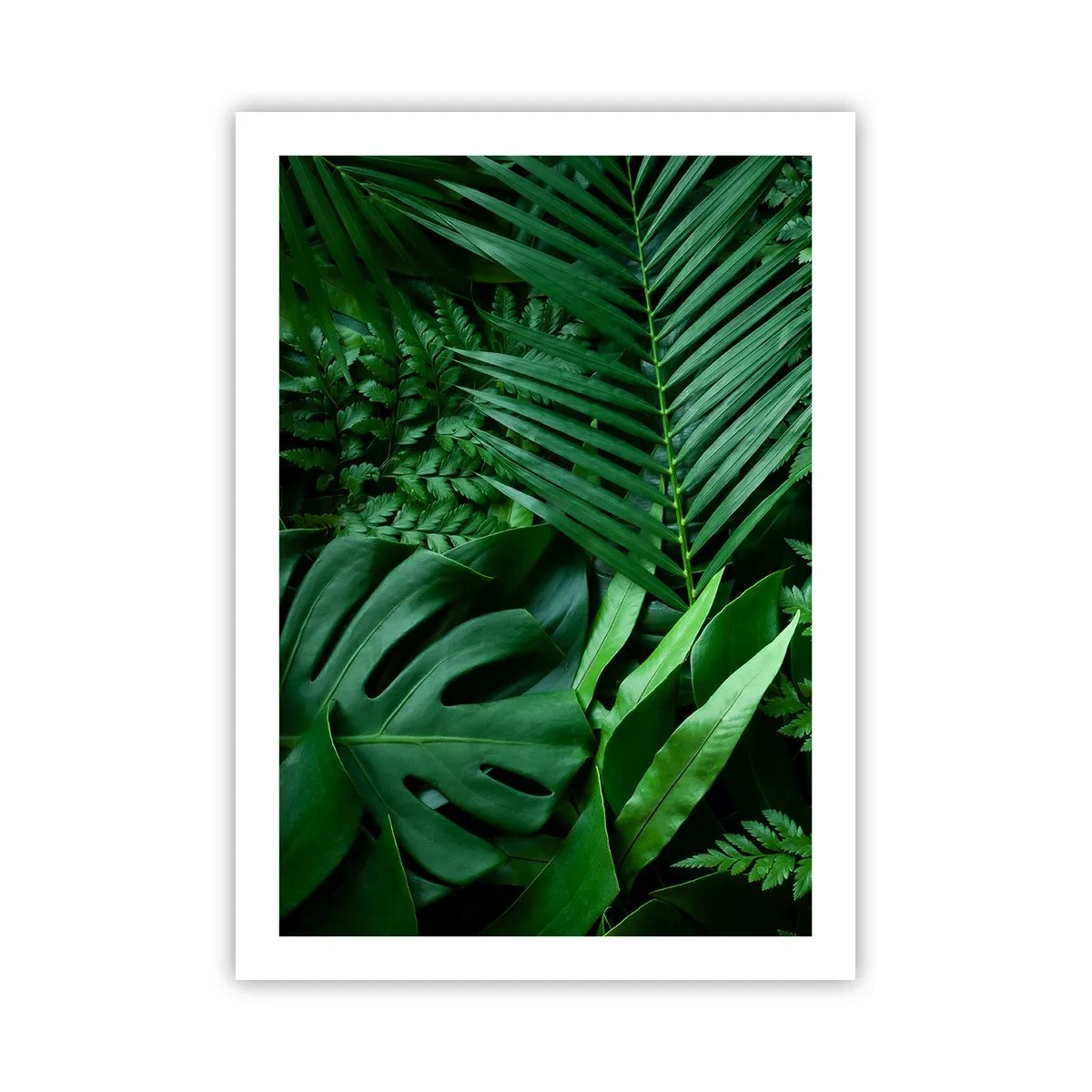 Affiche - Poster - La fougère verte et les feuilles de palmier créent un motif tropical - 50x70cm - Emmitouflé de verdure - Décoration murale moderne pour le salon et la chambre ARTTOR