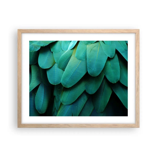 Affiche dans un chêne clair - Poster - Perfection de la nature du perroquet - 50x40 cm