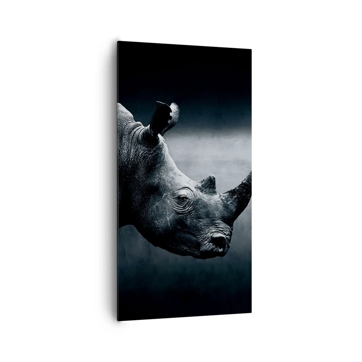 Impression sur toile - Image sur toile - Le profil droit - 65x120 cm
