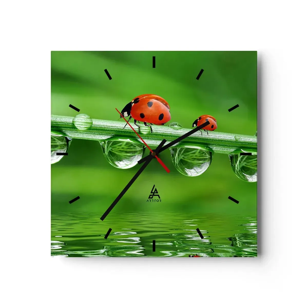 Horloge murale - Pendule murale - Coccinelles sur un brin d'herbe avec des gouttes de rosée dans un cadre naturel - 30x30cm - Sur la route tout l'été - Décoration murale moderne pour le salon et la chambre ARTTOR