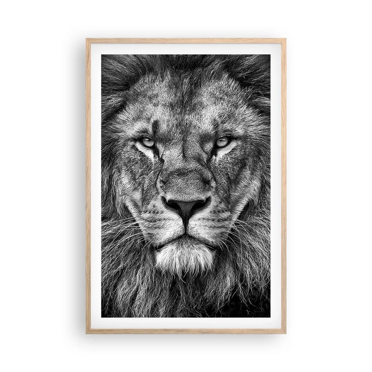 Affiche dans un chêne clair - Poster - En vêtement de sacre - 61x91 cm