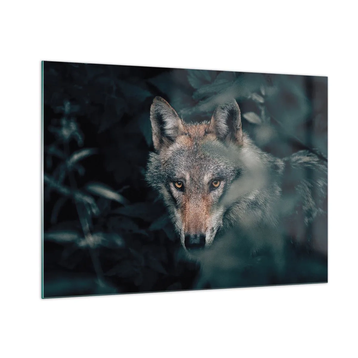 Impression sur verre - Image sur verre - Un loup observant avec vigilance depuis sa cachette dans le fourré de la forêt - 100x70cm - Chasseur - Décoration murale moderne pour le salon et la chambre ARTTOR