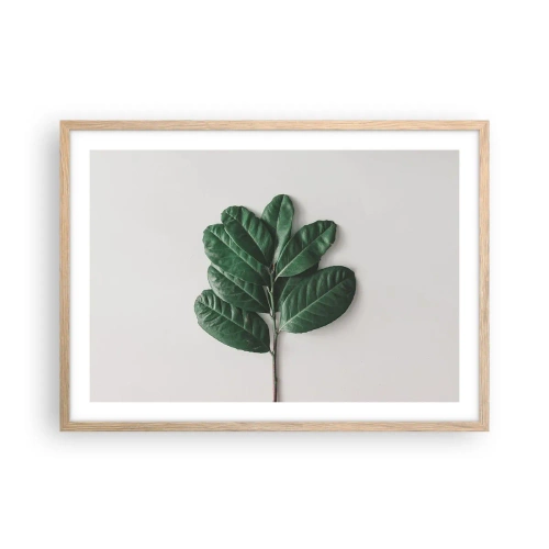 Affiche dans un chêne clair - Poster - Dessin de la nature elle-même - 70x50 cm