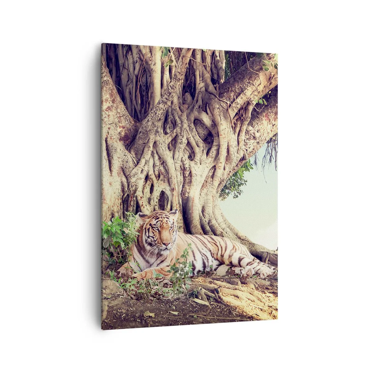 Impression sur toile - Image sur toile - Un tigre se reposant sous un arbre étendu - 70x100cm - Vue du Livre de la Genèse - Décoration murale moderne pour le salon et la chambre ARTTOR