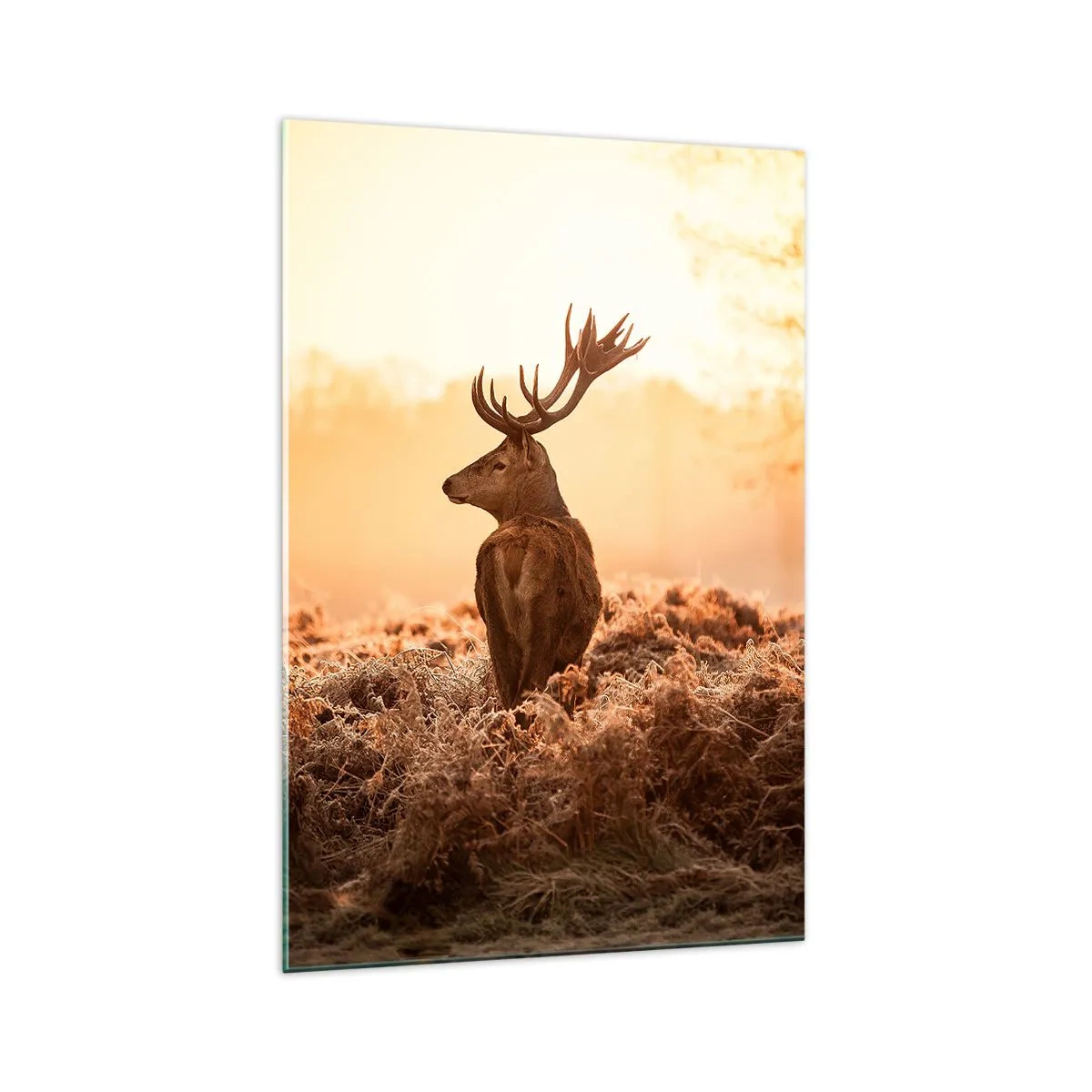 Impression sur verre - Image sur verre - Cerf dans les rayons du soleil levant - 70x100cm - Seigneur du domaine - Décoration murale moderne pour le salon et la chambre ARTTOR