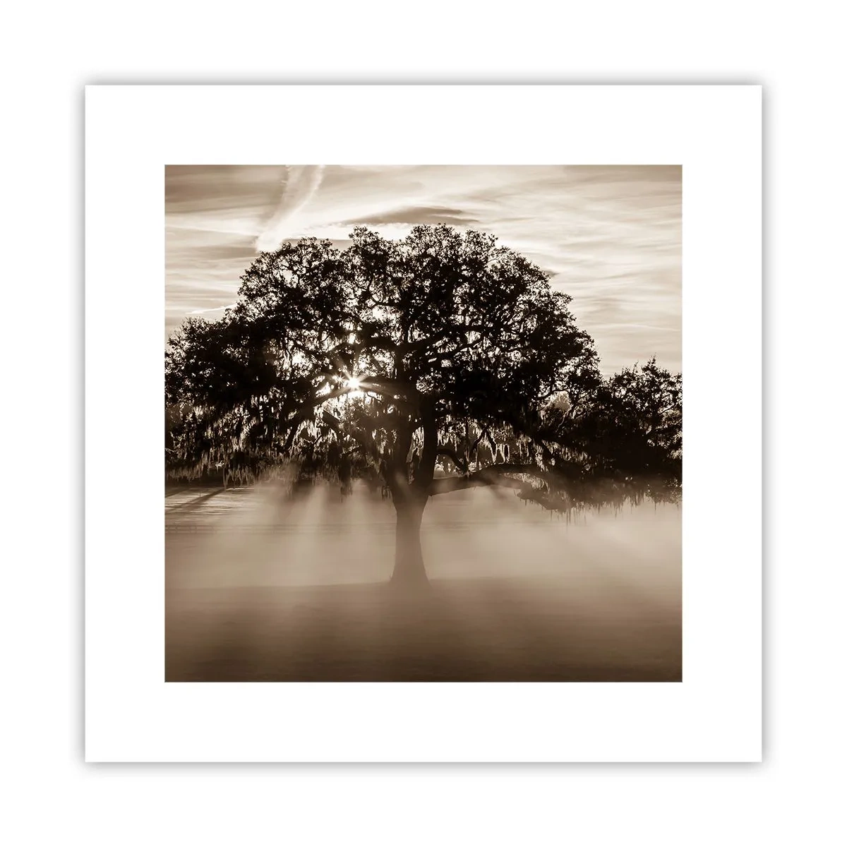 Affiche - Poster - Arbre de bonnes nouvelles - 30x30 cm