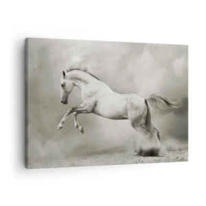 Impression sur toile - Image sur toile - Un cheval blanc dans un saut dynamique sur fond de nuages brumeux. - 70x50cm - Entre le réveil et le sommeil - Décoration murale moderne pour le salon et la chambre ARTTOR