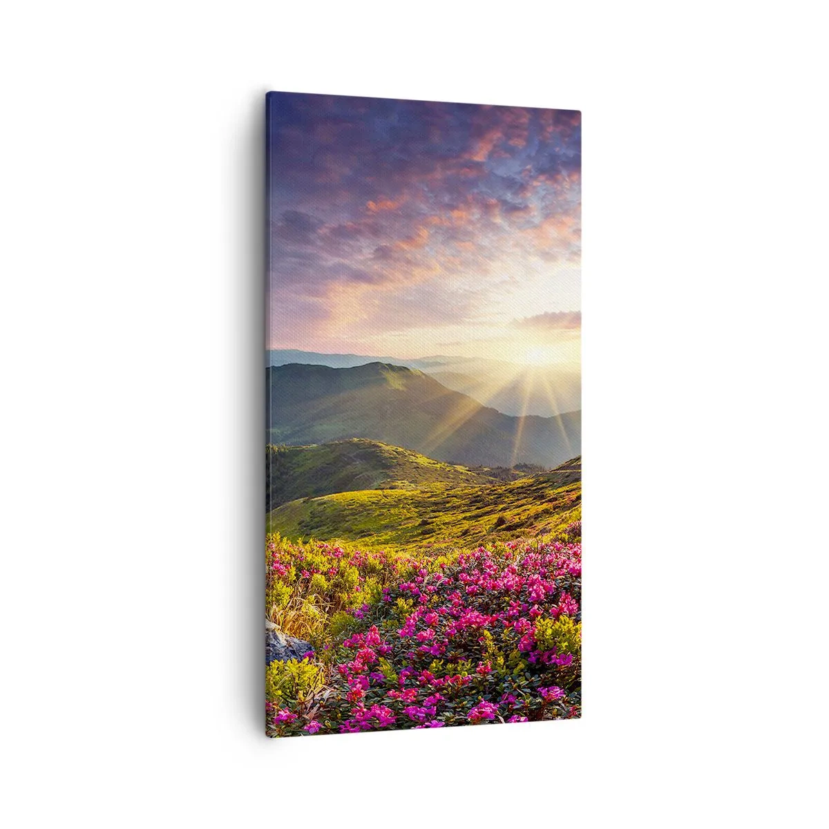 Impression sur toile - Image sur toile - Fraîcheur matinale en montagne - 55x100 cm