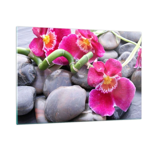 Impression sur verre - Image sur verre - Orchidées roses avec bambou sur pierres - 120x80cm - Refroidir et chauffer - Décoration murale moderne pour le salon et la chambre ARTTOR