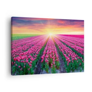 Impression sur toile - Image sur toile - Un champ de tulipes au coucher du soleil - 70x50cm - Ferme de la beauté - Décoration murale moderne pour le salon et la chambre ARTTOR
