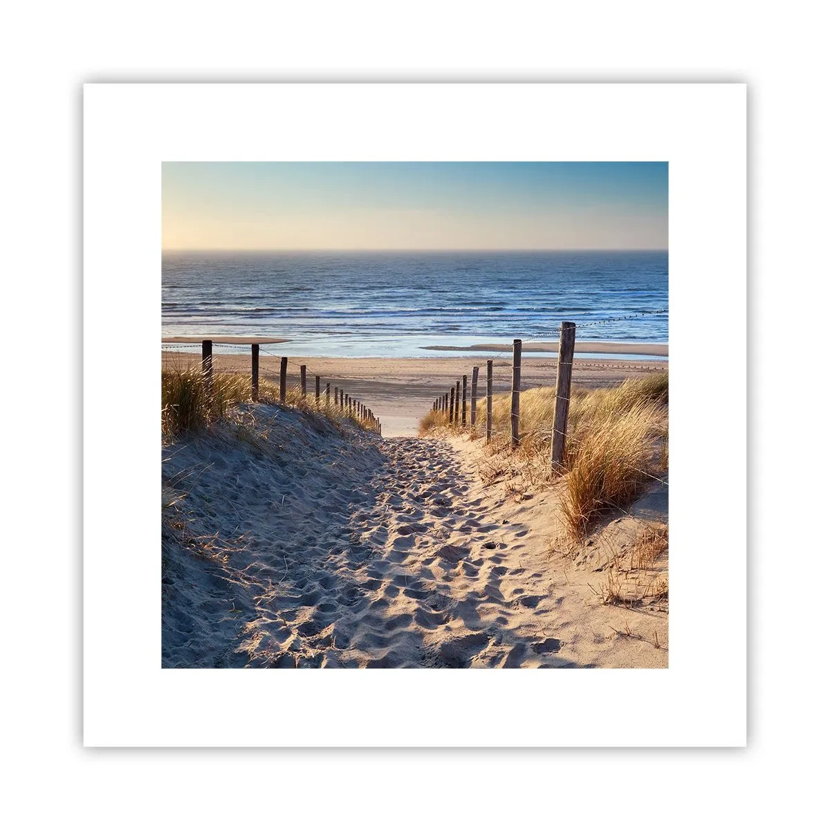 Affiche - Poster - Le bruit de la mer, le chant des oiseaux, une plage sauvage parmi les herbes… - 30x30 cm