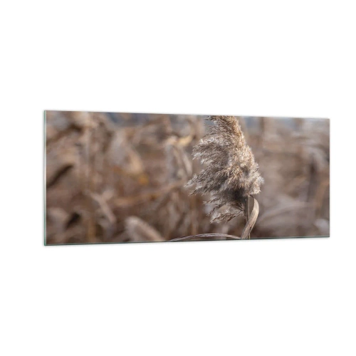 Impression sur verre - Image sur verre - Il est temps de s'envoler avec le vent - 100x40 cm