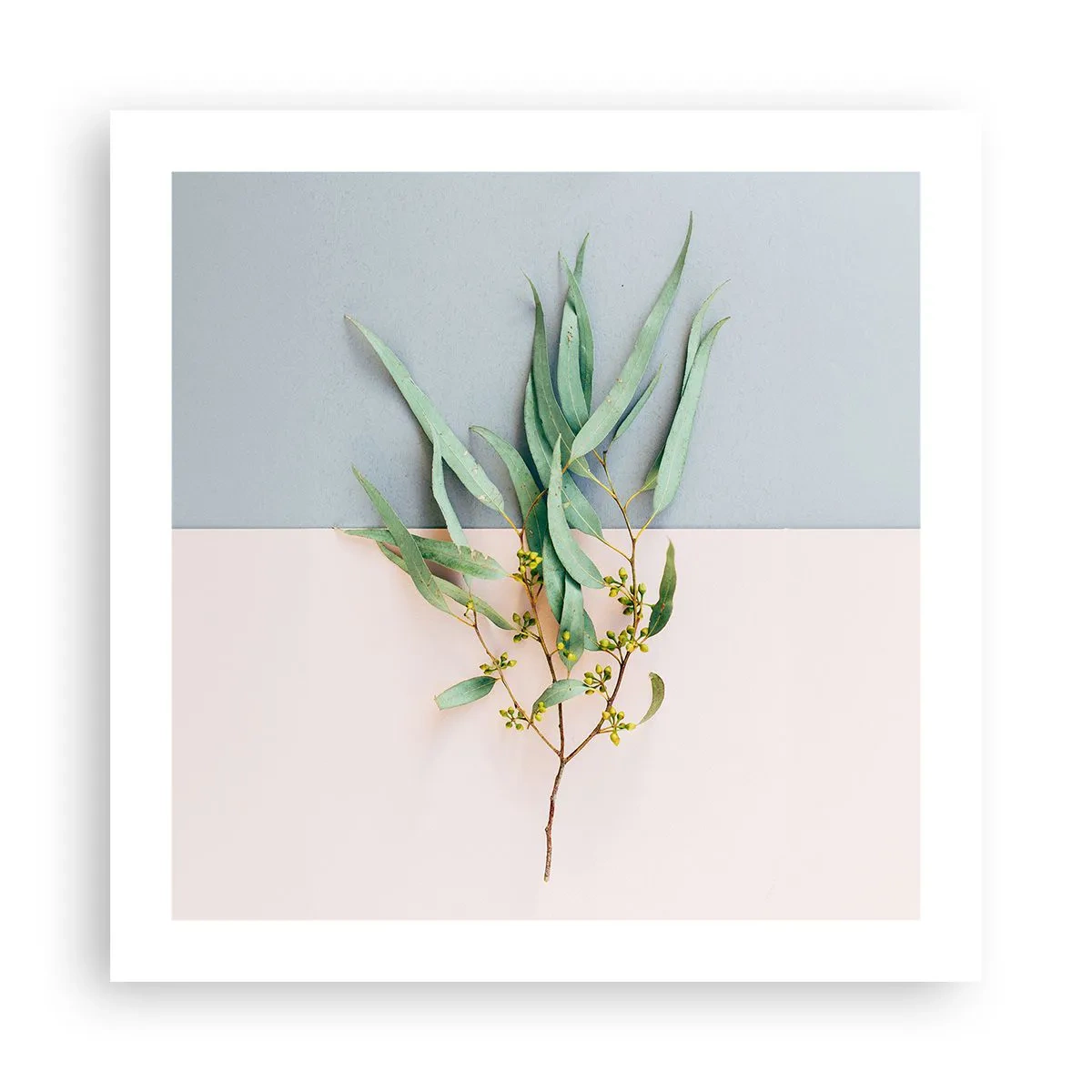 Affiche - Poster - Subtilité pastel - 50x50 cm