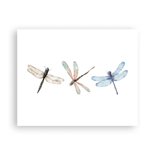 Affiche - Poster - Libellules en apesanteur - 50x40 cm