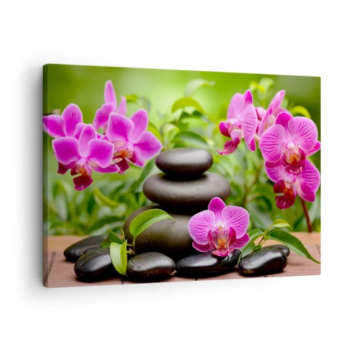 Impression sur toile - Image sur toile - Orchidées roses avec des pierres sur fond vert - 70x50cm - Pyramide de la Paix - Décoration murale moderne pour le salon et la chambre ARTTOR