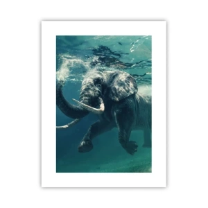 Affiche - Poster - Tout le monde aime nager - 30x40 cm