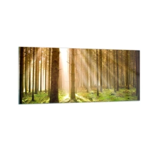 Impression sur verre - Image sur verre - Les elfes vont bientôt apparaître - 100x40 cm