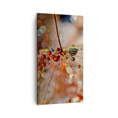 Impression sur toile - Image sur toile - Enfilé sur un fil d'araignée - 45x80 cm