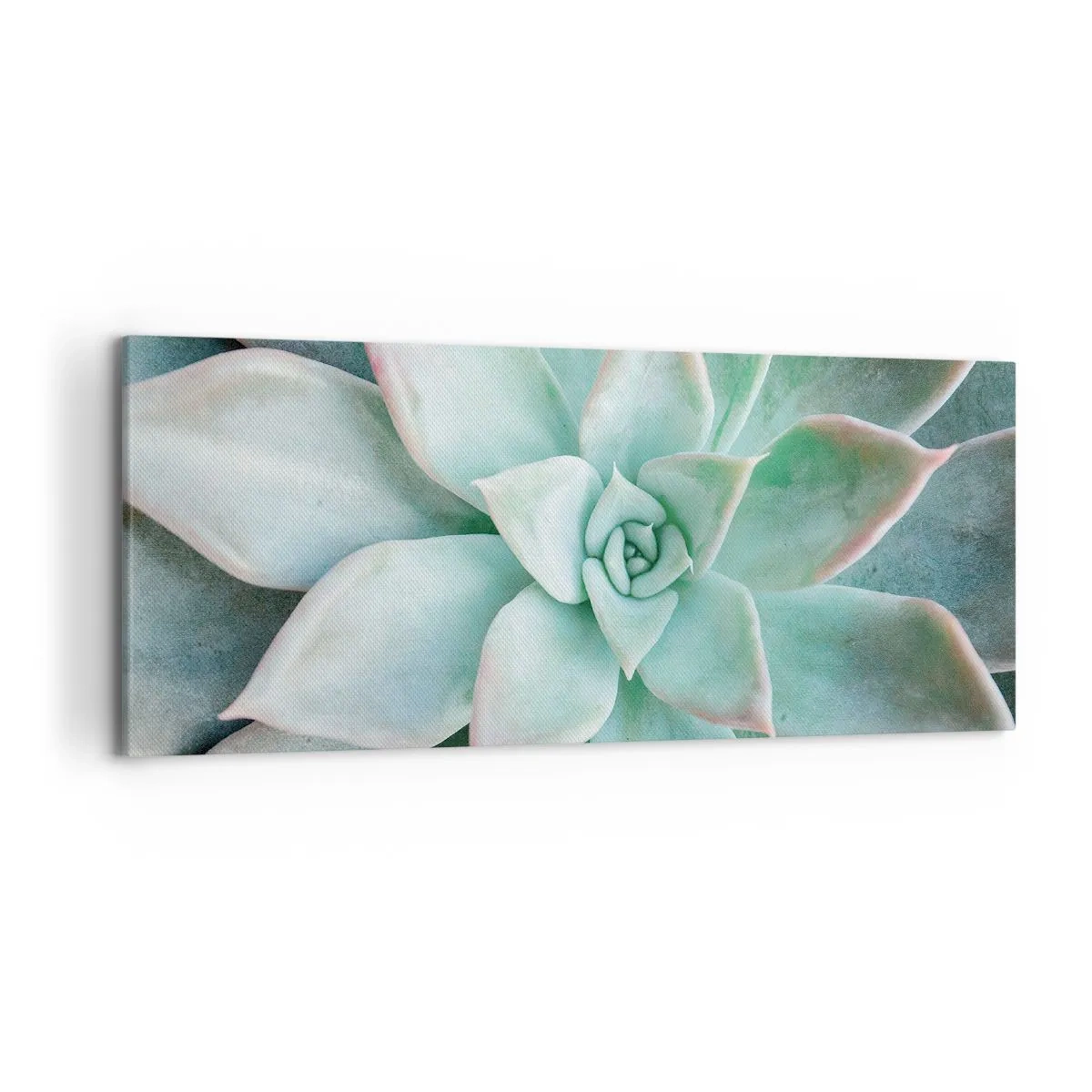 Impression sur toile - Image sur toile - Gros plan d'une succulente verte - 120x50cm - Le coeur du désert - Décoration murale moderne pour le salon et la chambre ARTTOR