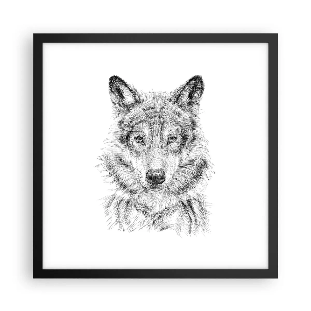 Affiche dans un cadre noir - Poster - Un leader né - 40x40 cm